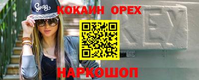 гашик Аргун