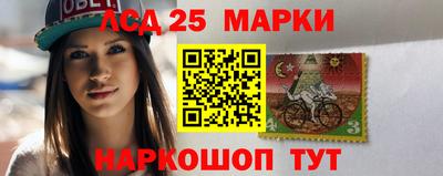 гашик Аргун