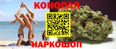 гашик Аргун