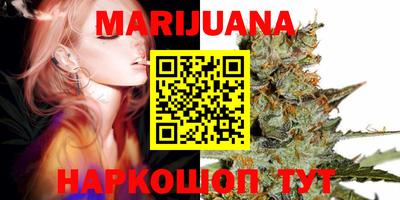 гашик Аргун